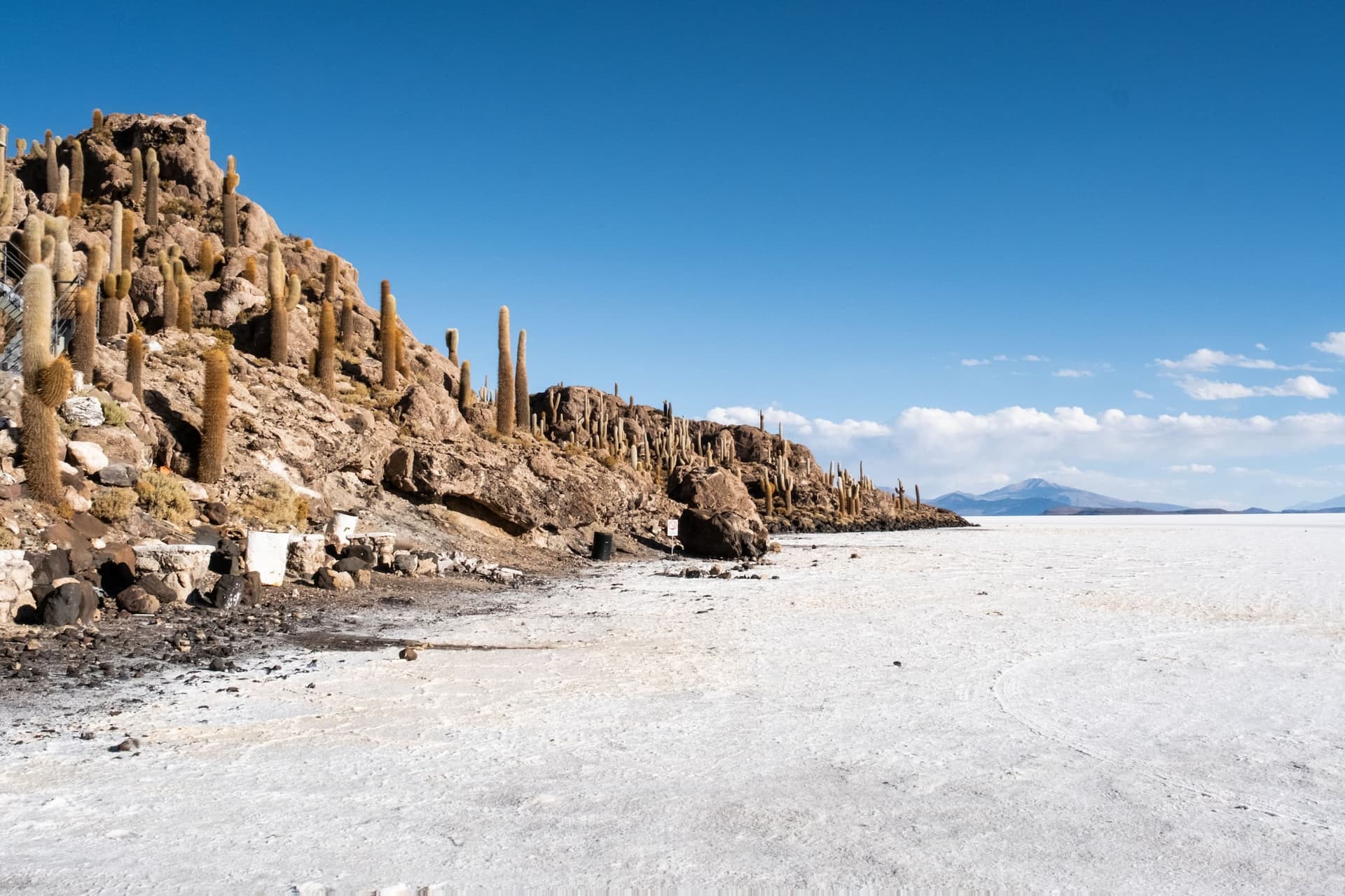 Isla Incahuasi, Salar de Uyuni, Bolivia