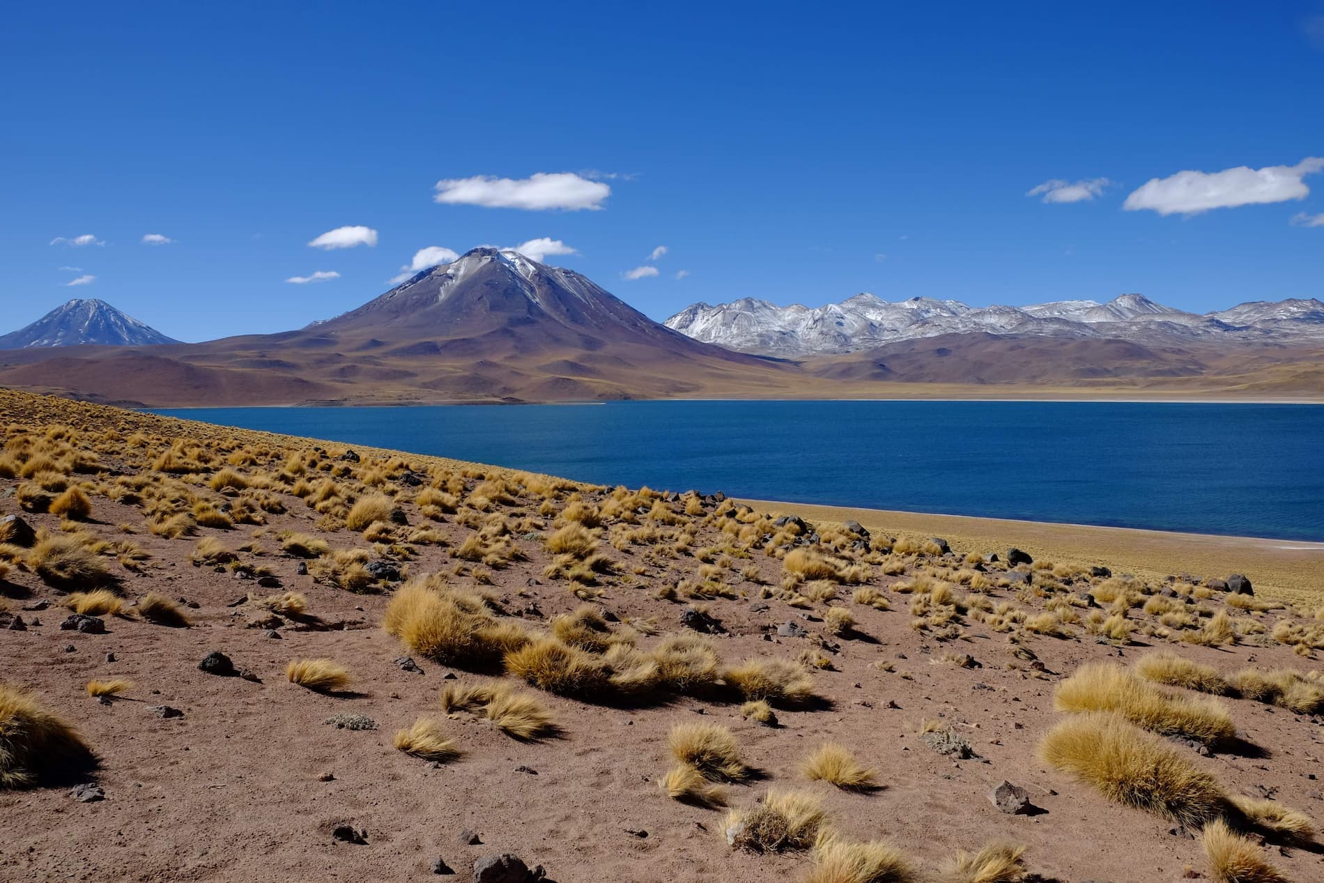 Laguna Miscanti en el Desierto de Atacama, Chile